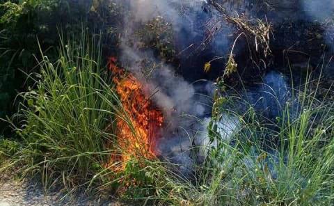 Aumentan incendios: ardió parcela en Temamatla
