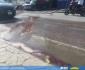 RÍOS DE SANGRE en vía pública en Tamazunchale; hay molestia entre automovilistas y motociclistas