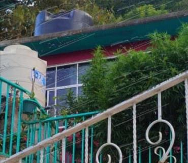 Asegura FGR plantío de marihuana en Chapulhuacán
