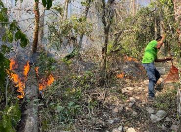 Incendio forestal por quema de paja 