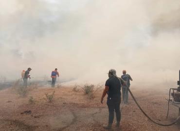 Incendio arrasa con mil hectáreas