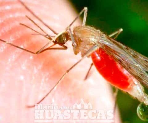 Entidad libre de paludismo