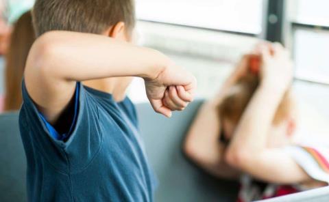 
Maestros omisos al  bullying en alumnos 
