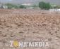 Colapsa el campo por severa sequía 